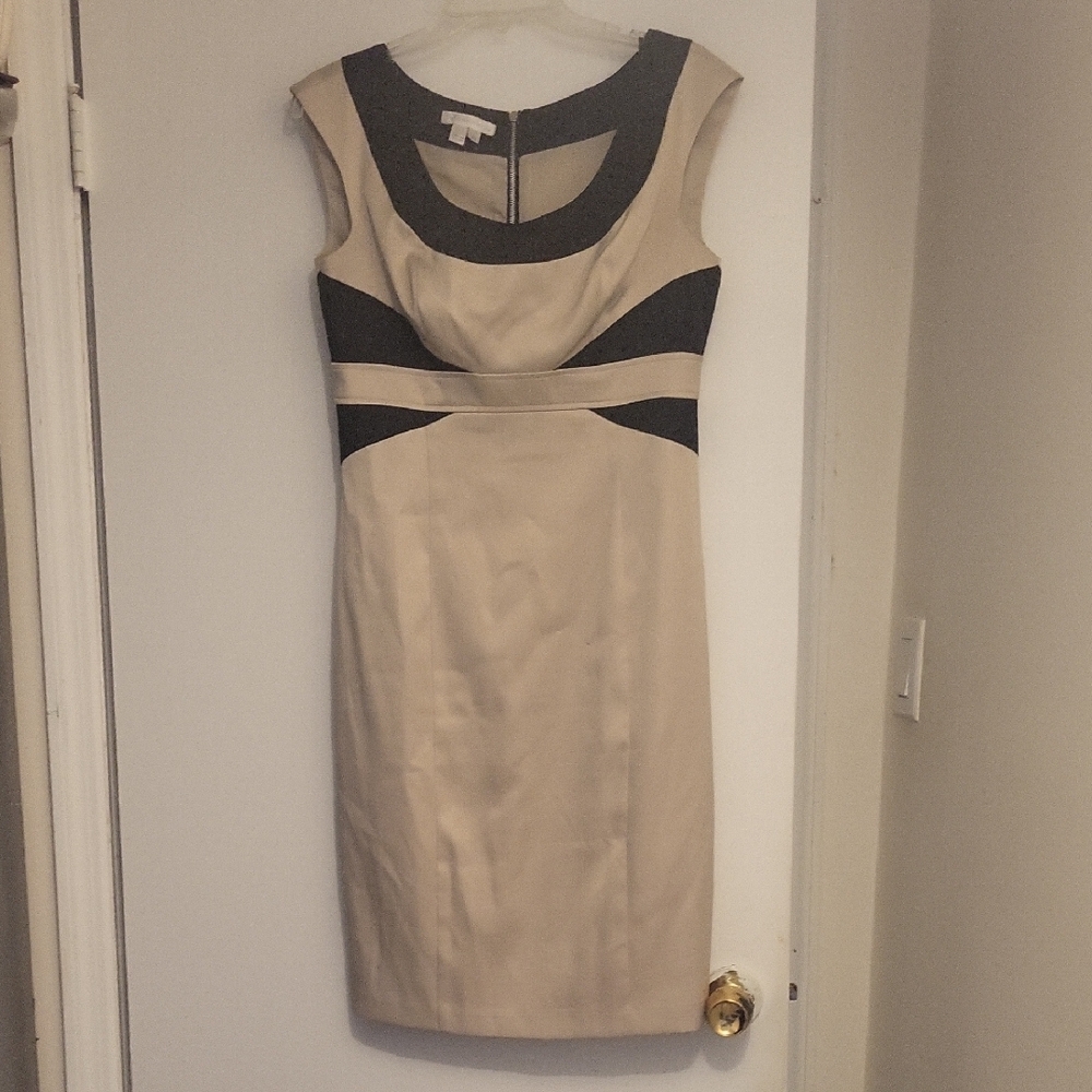 Elegant Black and Cream Dress
